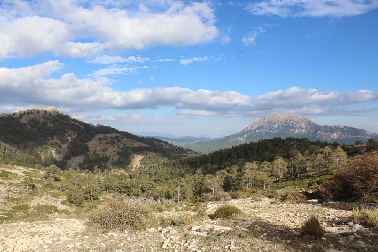 Chalet La Noguera