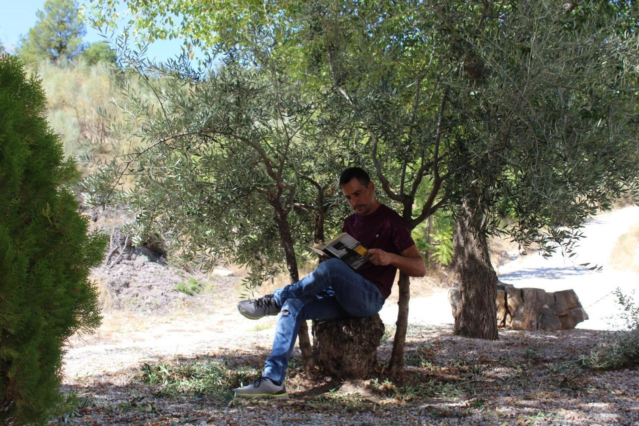 Chalet La Noguera *
